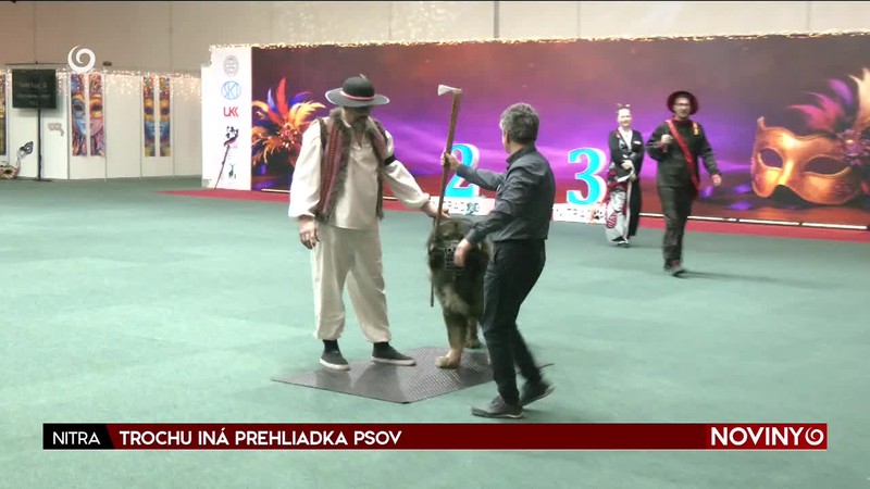 TROCHU INÁ PREHLIADKA PSOV