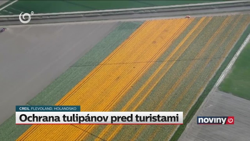 Ochrana tulipánov pred turistami