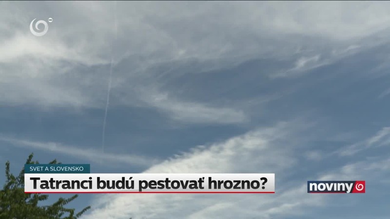 Tatranci budú pestovať hrozno?