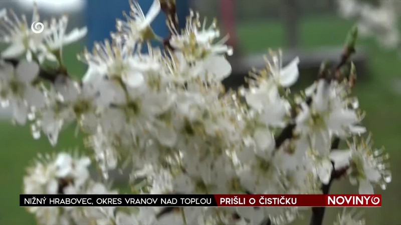 PRIŠLI O ČISTIČKU