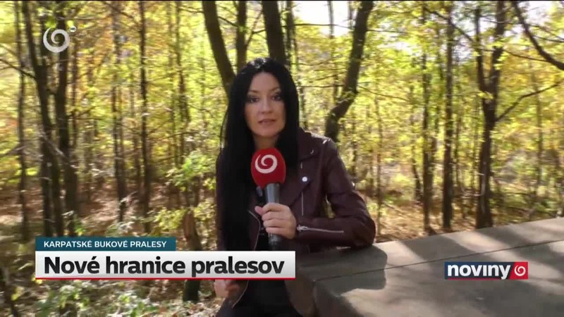 Nové hranice pralesov