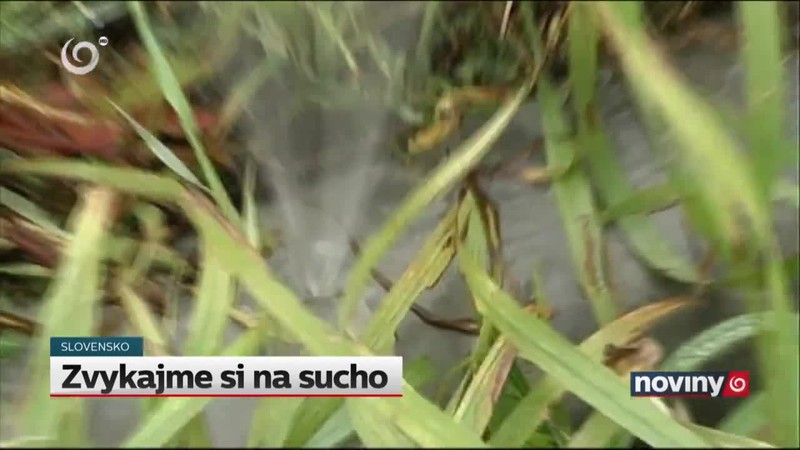 Zvykajme si na sucho