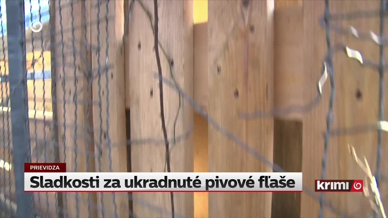 Vysoký záujem o rómske hliadky