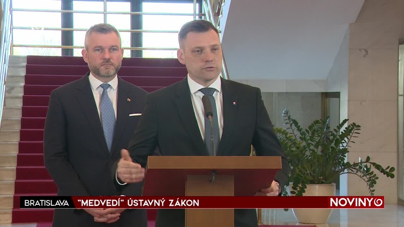 "MEDVEDÍ" ÚSTAVNÝ ZÁKON