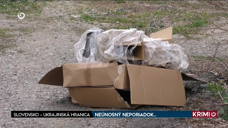 NEÚNOSNÝ NEPORIADOK...