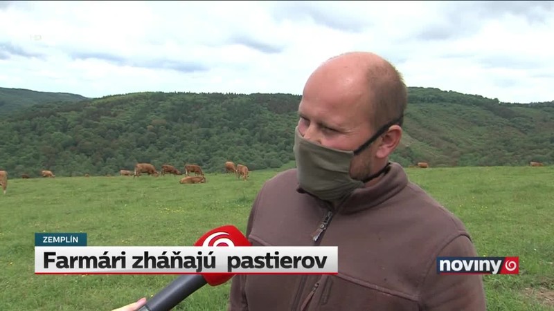Farmári zháňajú  pastierov