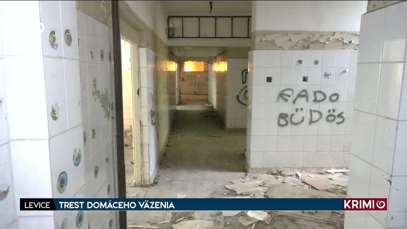 TREST DOMÁCEHO VÄZENIA