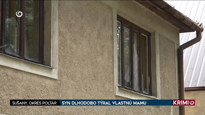 SYN DLHODOBO TÝRAL VLASTNÚ MAMU