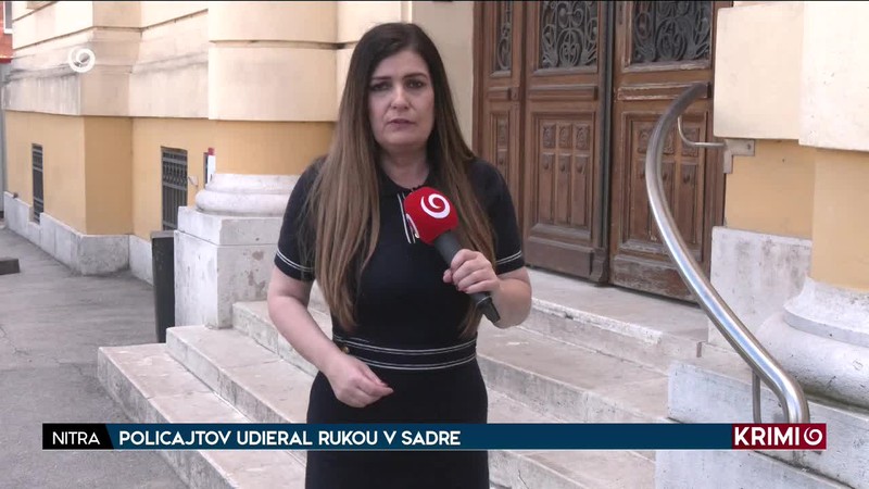 POLICAJTOV UDIERAL RUKOU V SADRE