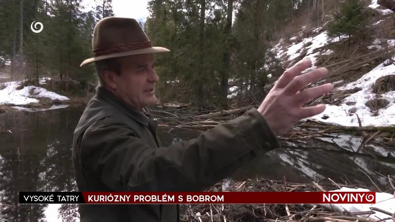 KURIÓZNY PROBLÉM S BOBROM
