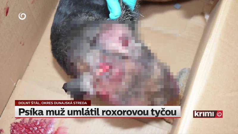 Psíka muž umlátil roxorovou tyčou