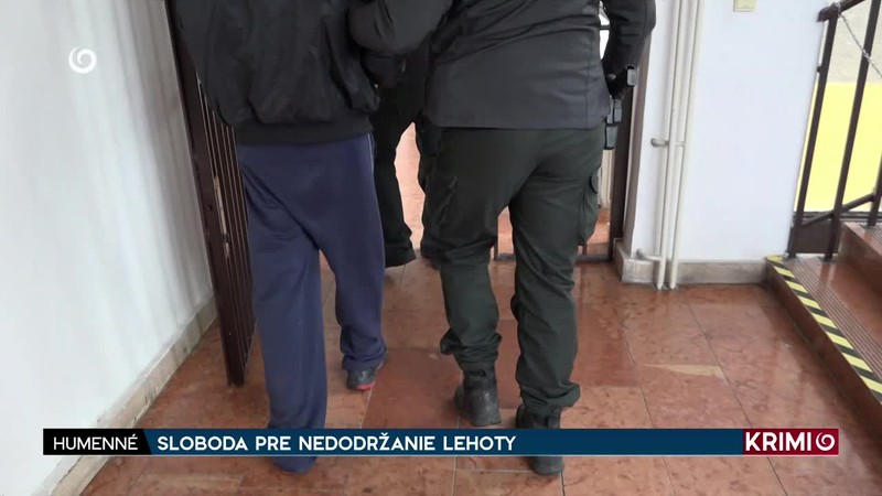 SLOBODA PRE NEDODRŽANIE LEHOTY
