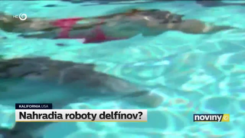 Nahradia roboty delfínov?