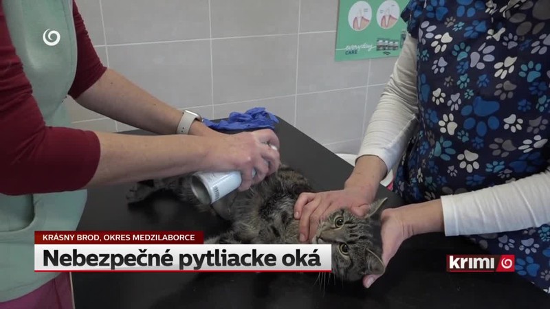 Nebezpečné pytliacke oká