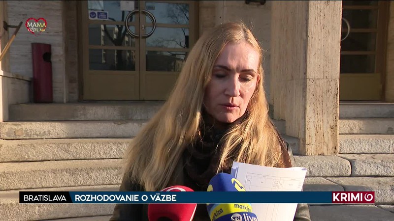 ROZHODOVANIE O VÄZBE