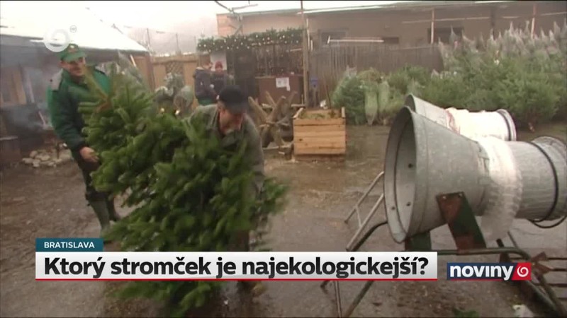 Ktorý stromček je najekologickejší?