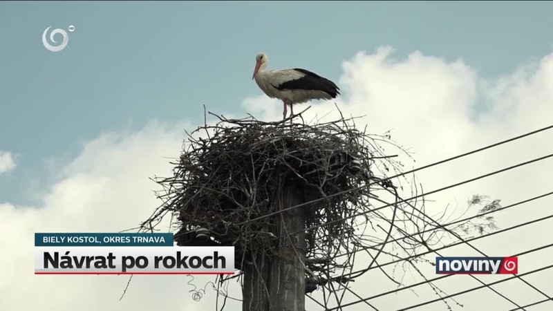 Návrat po rokoch