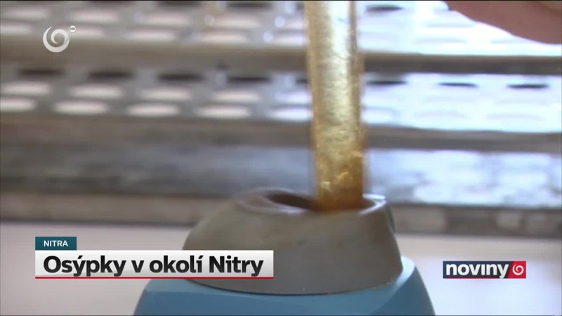 Osýpky v okolí Nitry