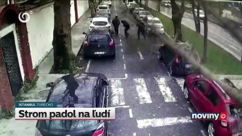 Strom padol na ľudí