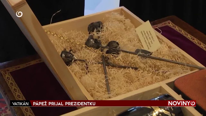 PÁPEŽ PRIJAL PREZIDENTKU
