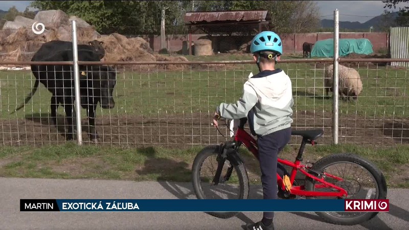 EXOTICKÁ ZÁĽUBA