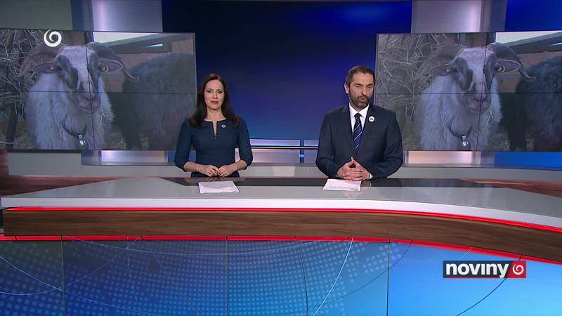 Srny "zožrali" úrodu