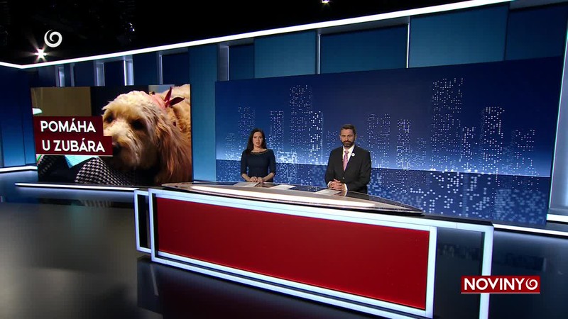 PREDSTAVILI KANDIDÁTKU DO EP