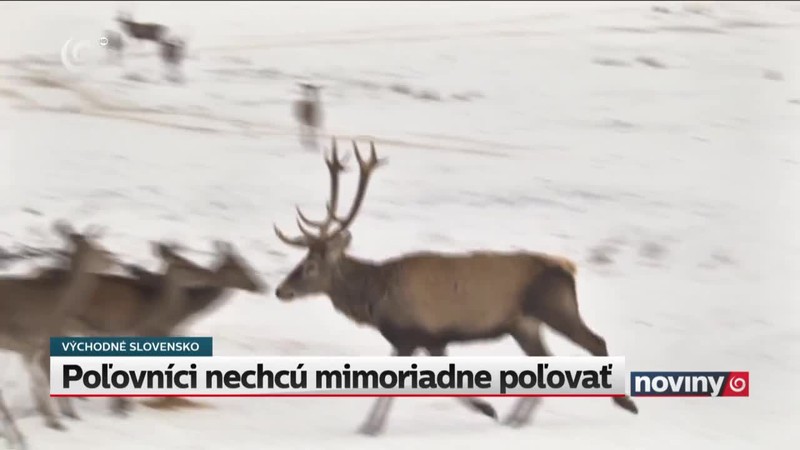 Poľovníci nechcú mimoriadne poľovať