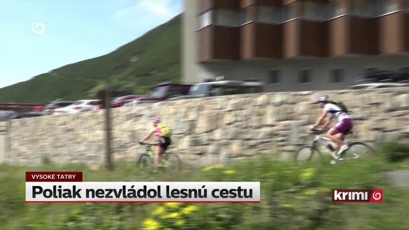 Poliak nezvládol lesnú cestu