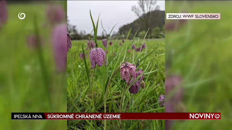 SÚKROMNÉ CHRÁNENÉ ÚZEMIE