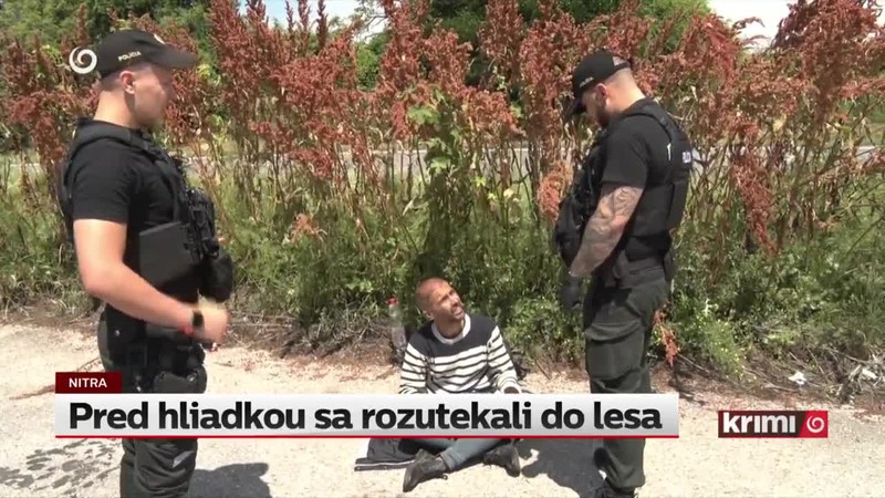 Pred hliadkou sa rozutekali do lesa