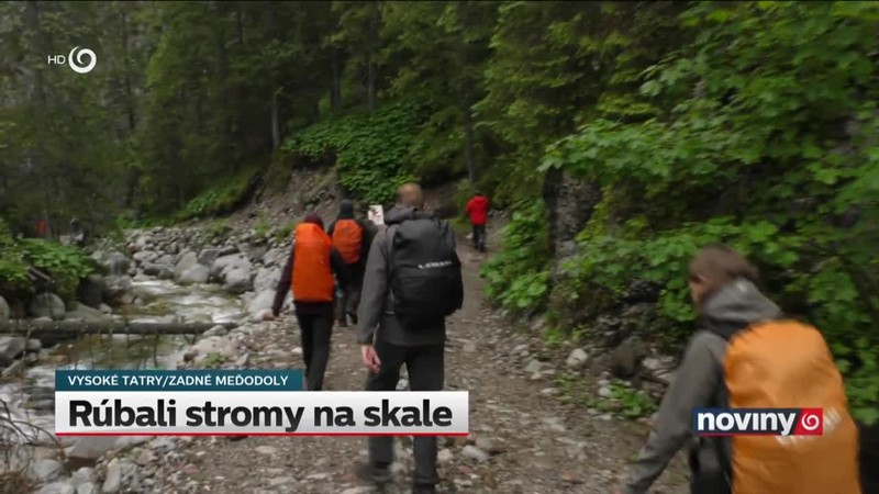 Rúbali stromy na skale