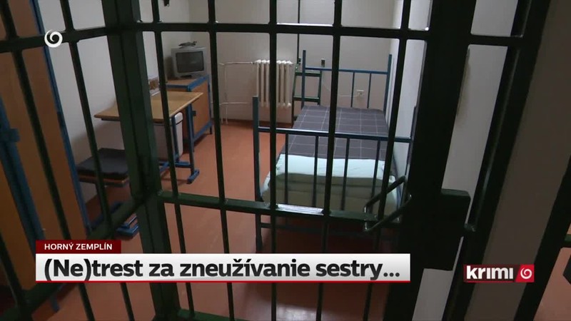 (Ne)trest za zneužívanie sestry..