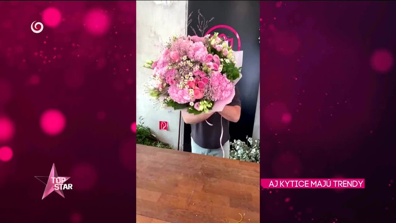 AJ KYTICE MAJÚ TRENDY