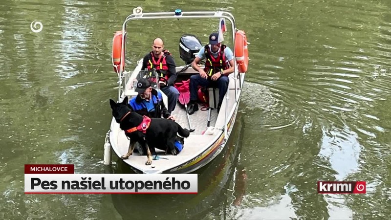 Pes našiel utopeného