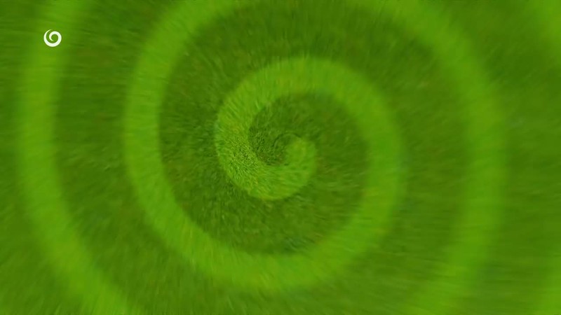 KOHO SI POZVAL PREZIDENT?