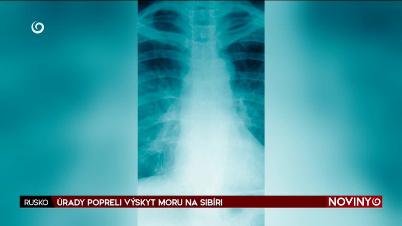 ÚRADY POPRELI VÝSKYT MORU NA SIBÍRI