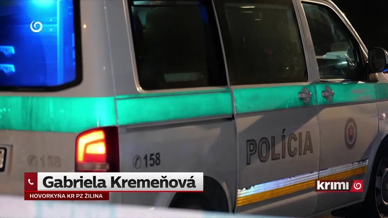Vodič uhorel po čelnej zrážke