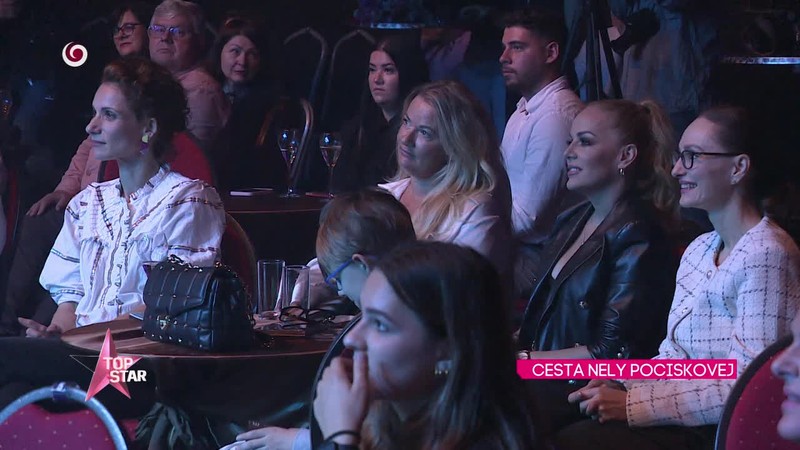 CESTA NELY POCISKOVEJ