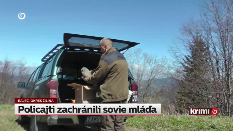 Policajti zachránili sovie mláďa