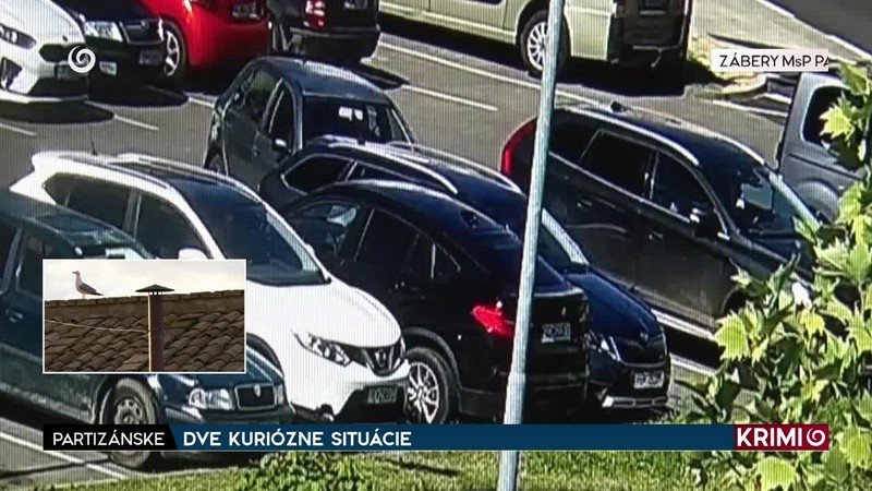 DVE KURIÓZNE SITUÁCIE