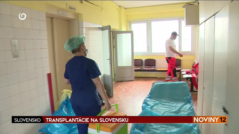 TRANSPLANTÁCIE NA SLOVENSKU