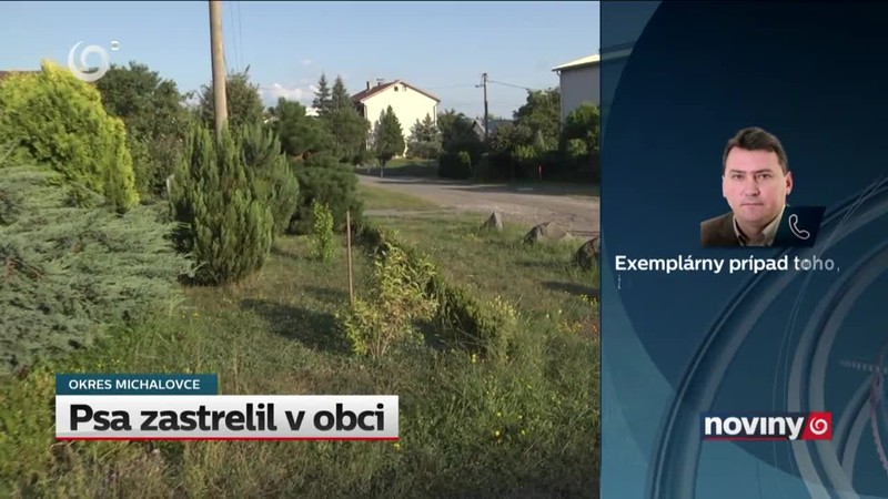 Psa zastrelil v obci