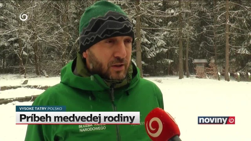 Príbeh medvedej rodiny