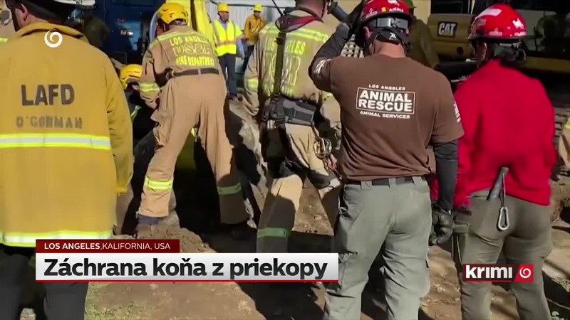 Záchrana koňa z priekopy