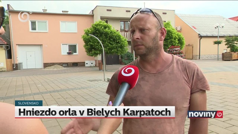 Hniezdo orla v Bielych Karpatoch