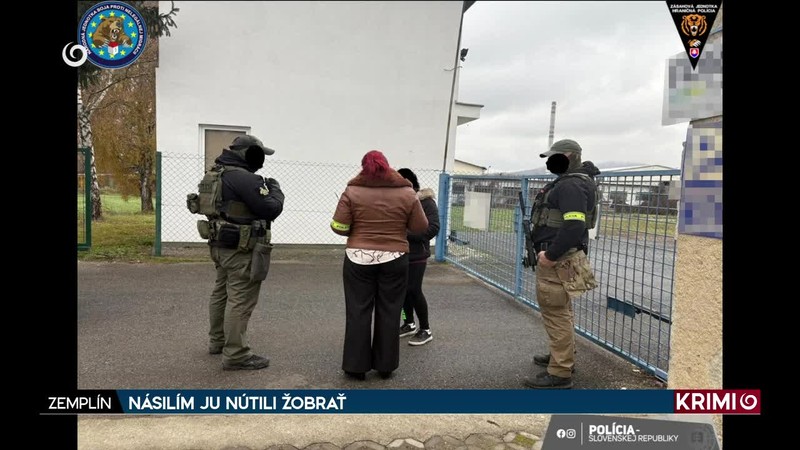 NÁSILÍM JU NÚTILI ŽOBRAŤ