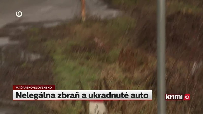 Nelegálna zbraň a ukradnuté auto