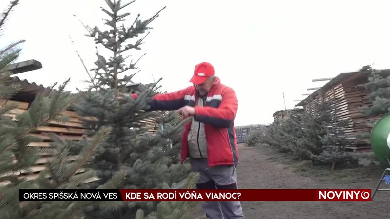 KDE SA RODÍ VÔŇA VIANOC?