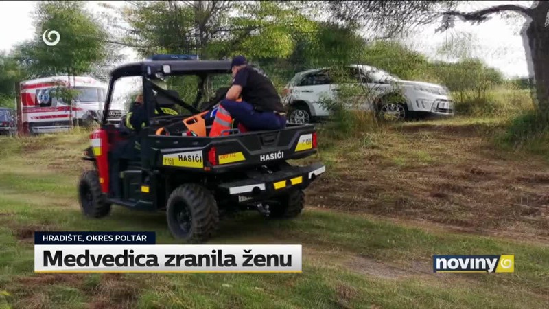 Medvedica zranila ženu